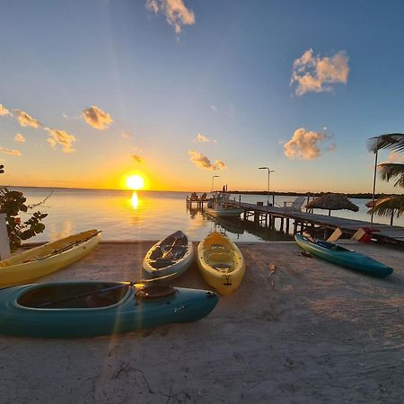 Bay Towers Aparthotel Caye Caulker Exteriör bild